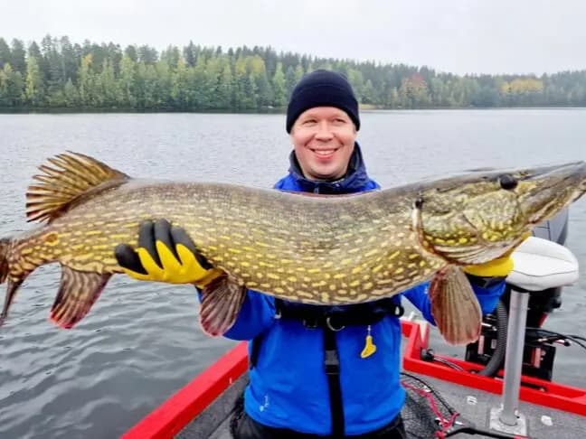 Pike