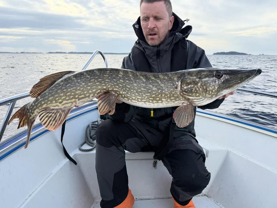 Pike