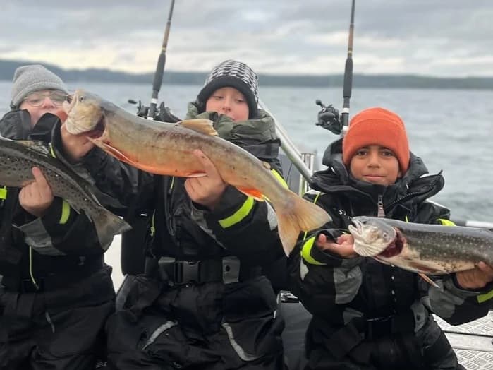 Arctic Char
