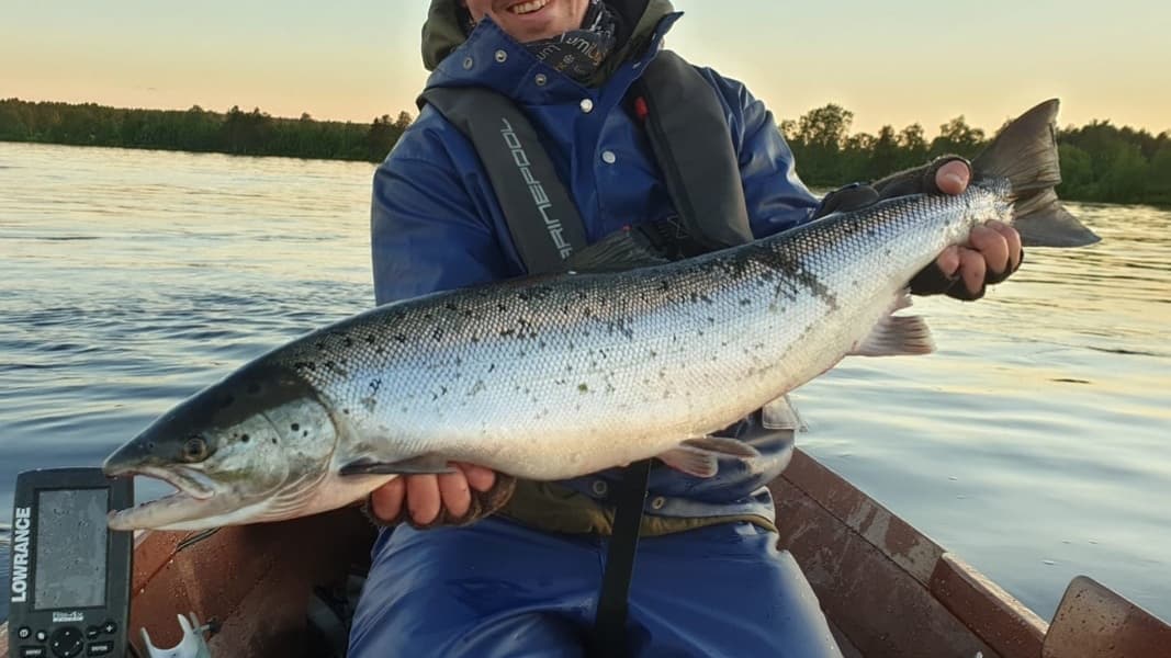 Baltic Salmon Fishing on Tornion-Muonion River in Finnish Lapland