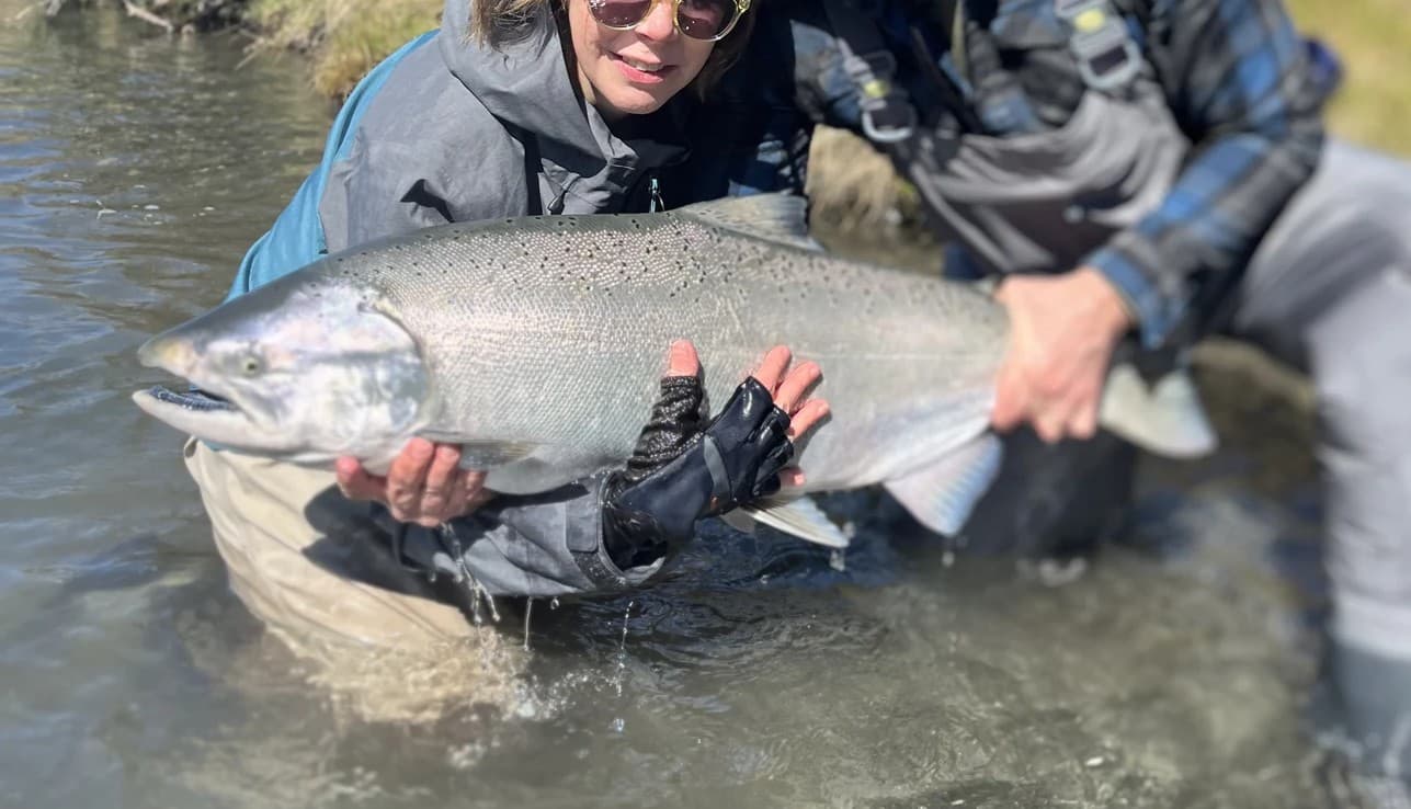 Chinook Salmon