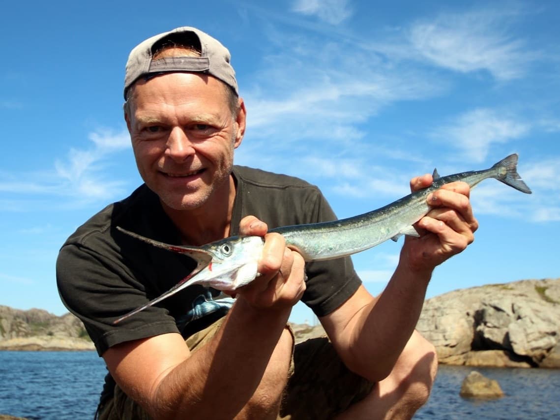 Garfish