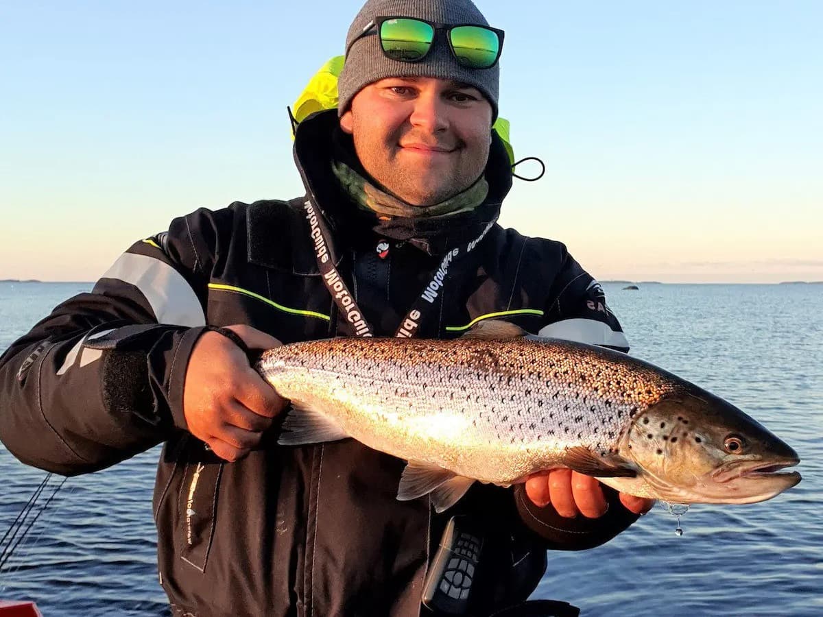 Sea Trout