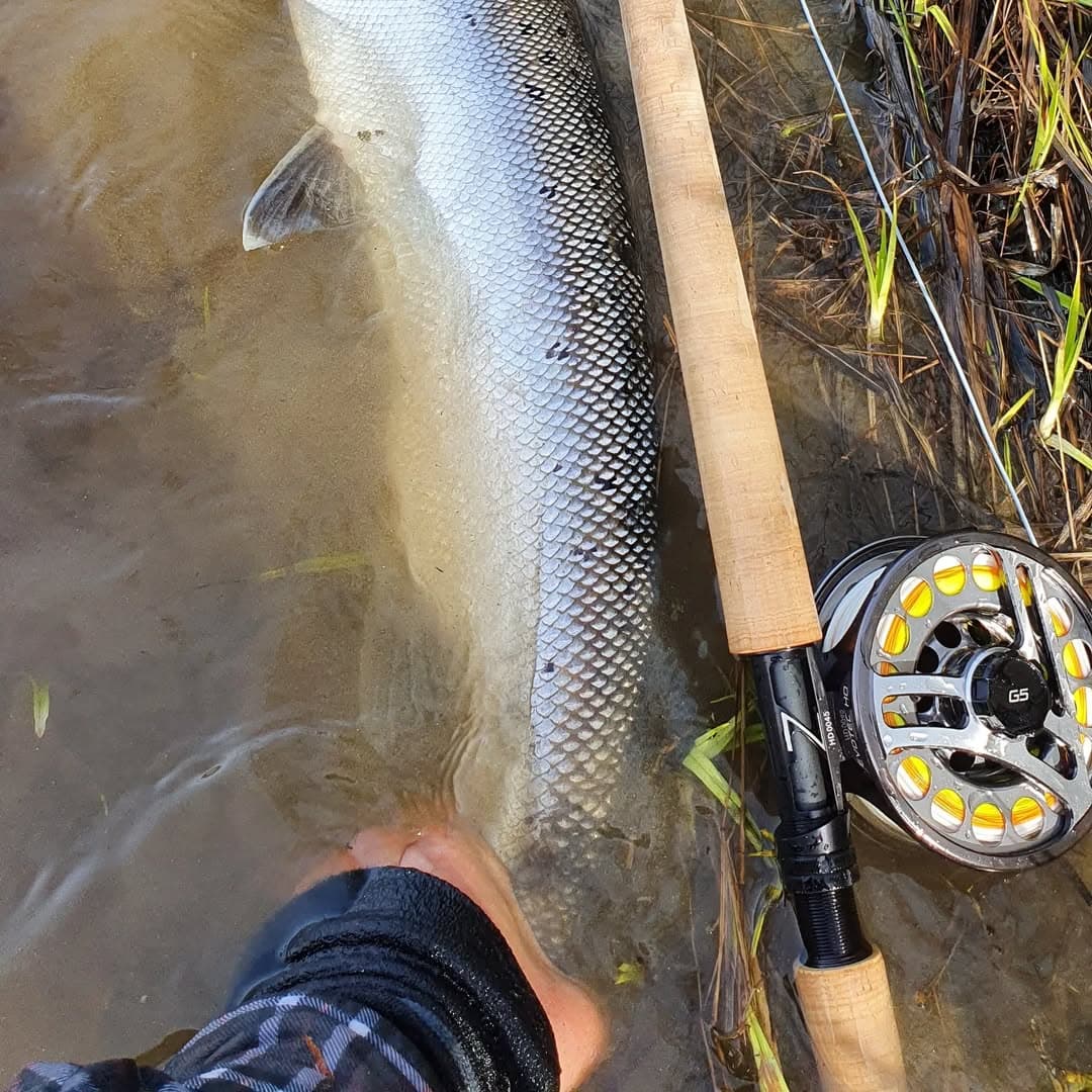 Northern Wilderness: Wild River & Lake Fishing in Northern Sweden photo 2