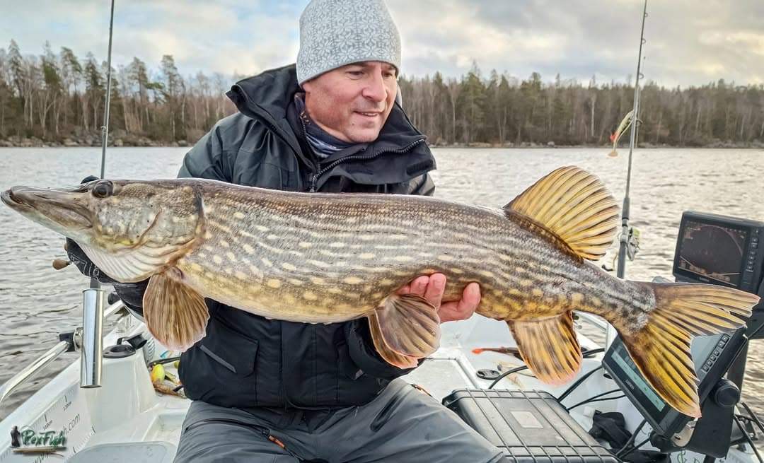 Southern Sweden Expeditions: Guided Sport Fishing on Lakes and Coasts photo 3