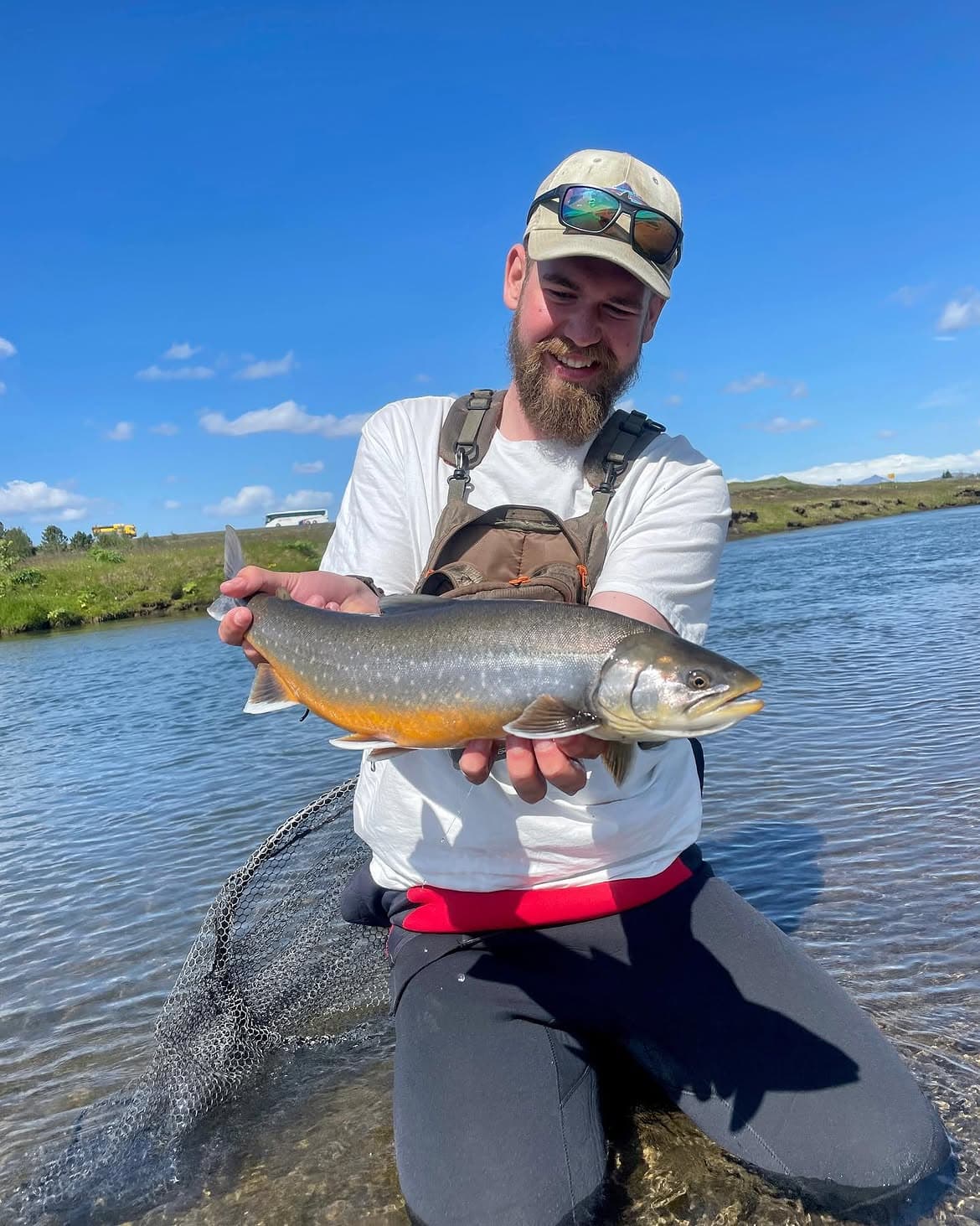 Arctic Char