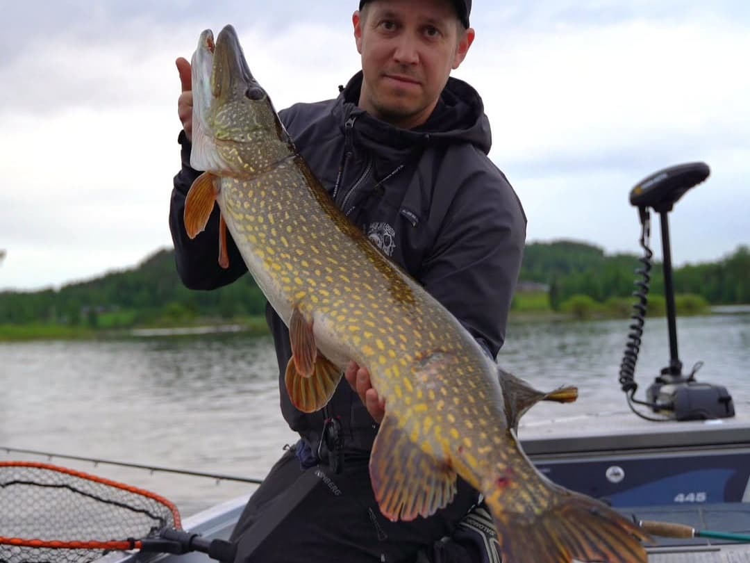 Pike