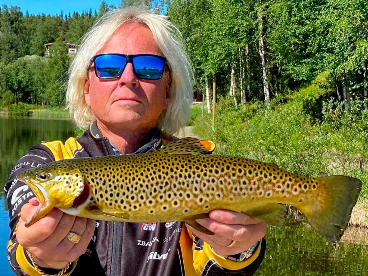 Brown Trout