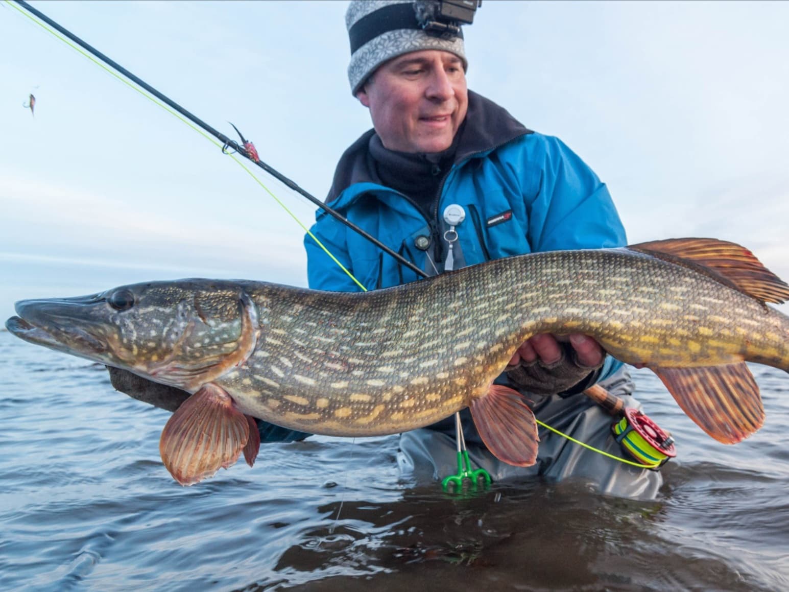 Pike