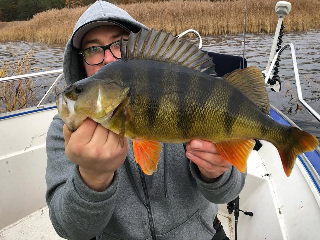 The Baltic and Lake Mälaren: Premium Sport Fishing near Stockholm photo 3