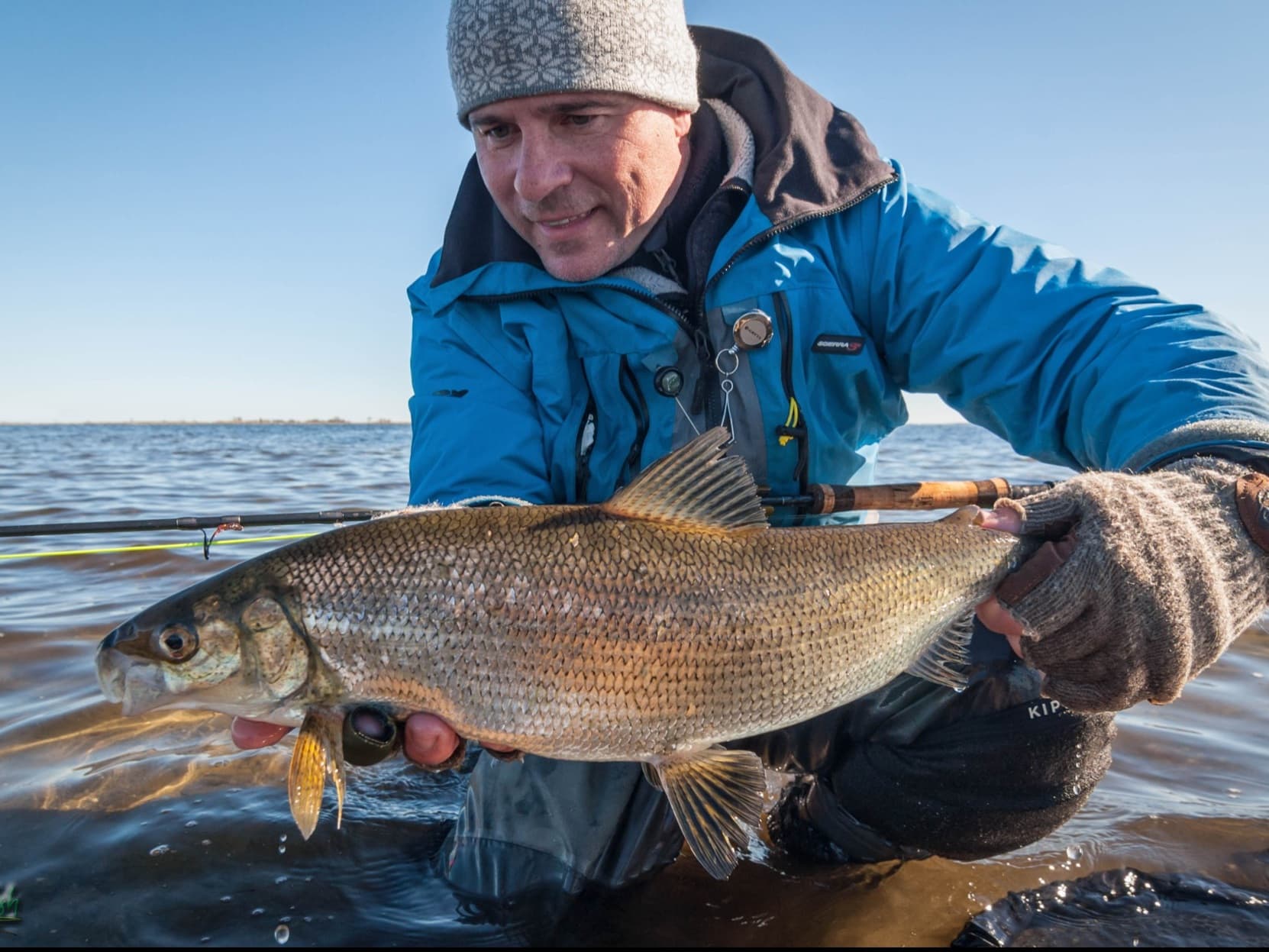 Whitefish