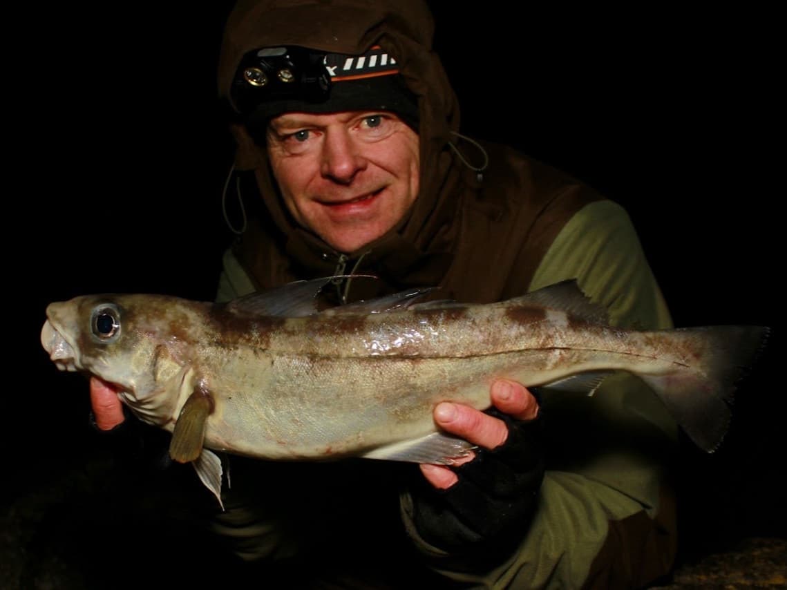 Haddock