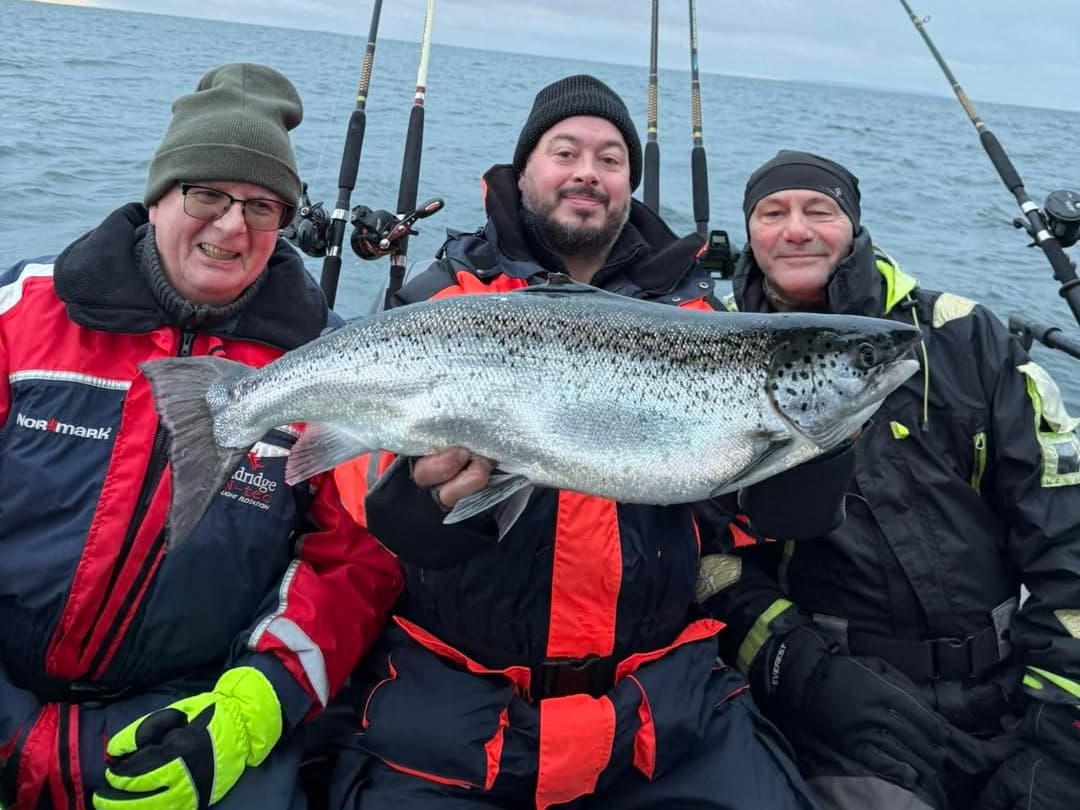 Salmon