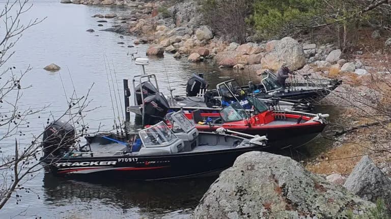 Capital Waters: Archipelago and Lake Predator Fishing near Helsinki photo 2