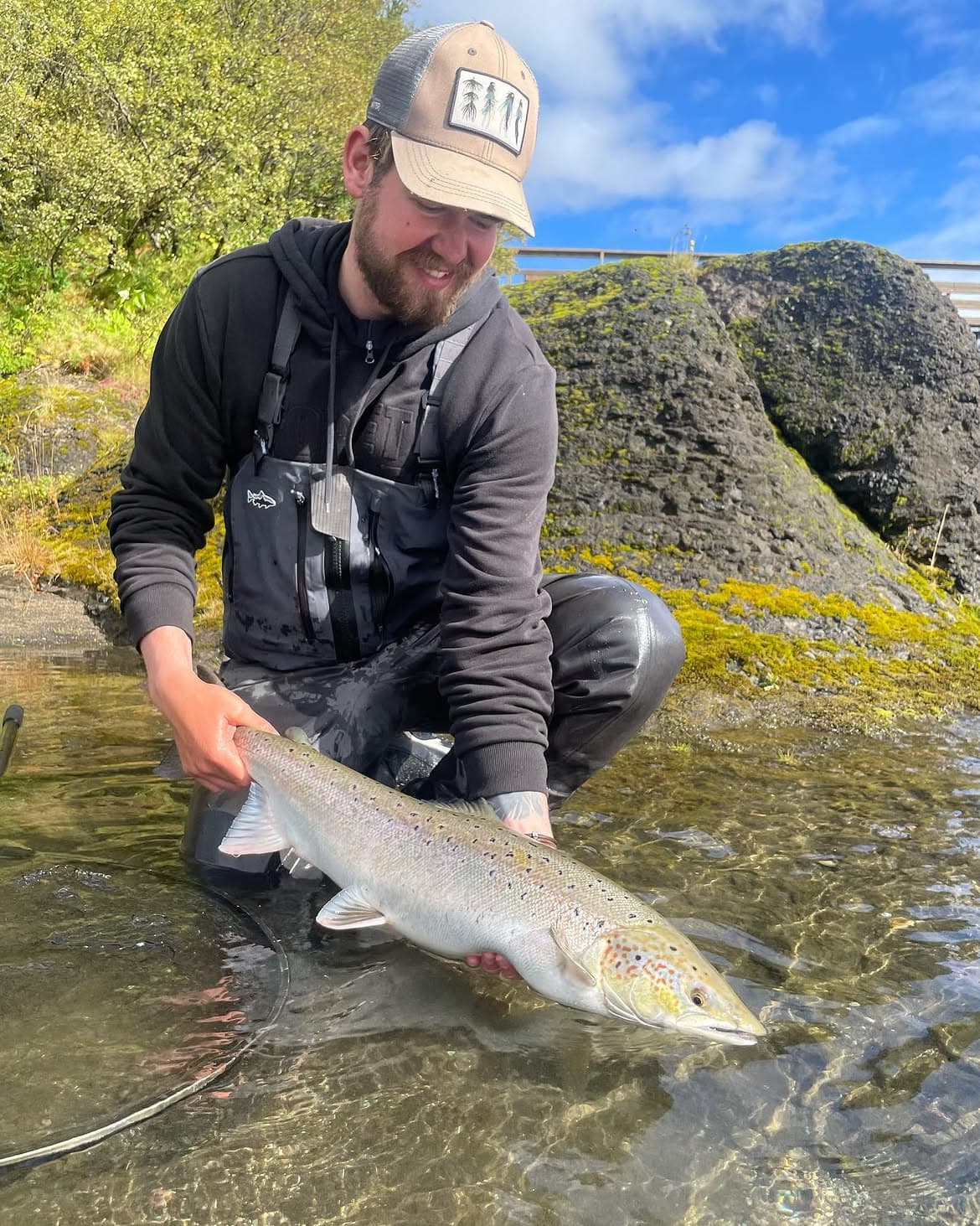Atlantic Salmon