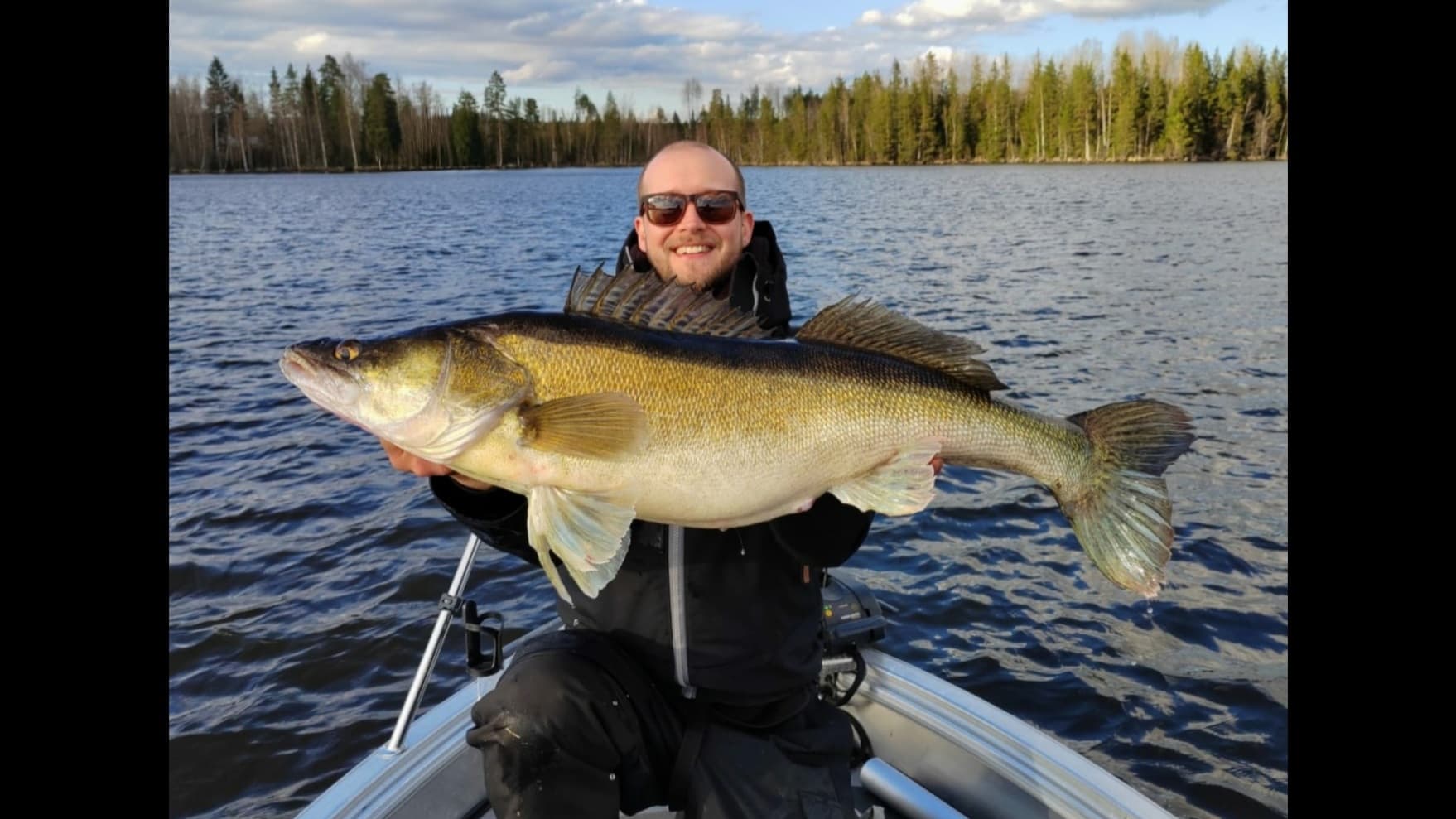 Live sonar fishing; Live from beneath the surface