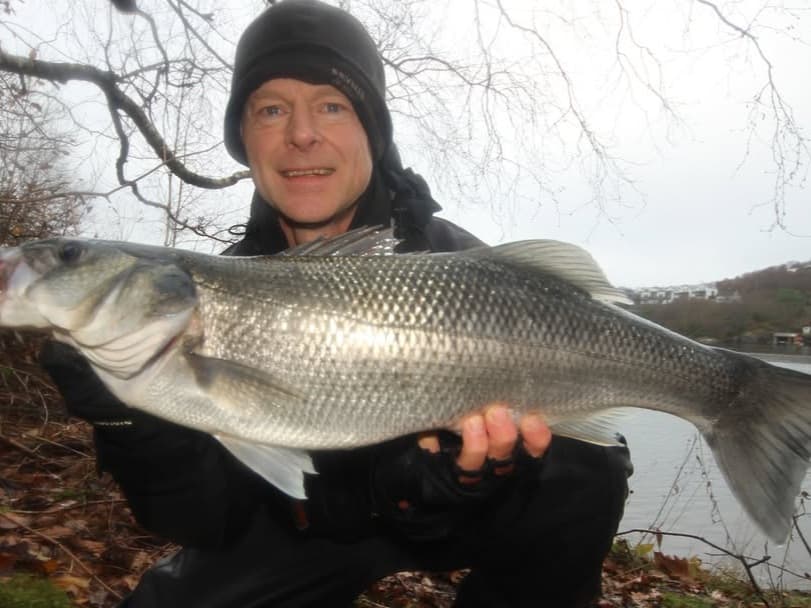 Sea Bass