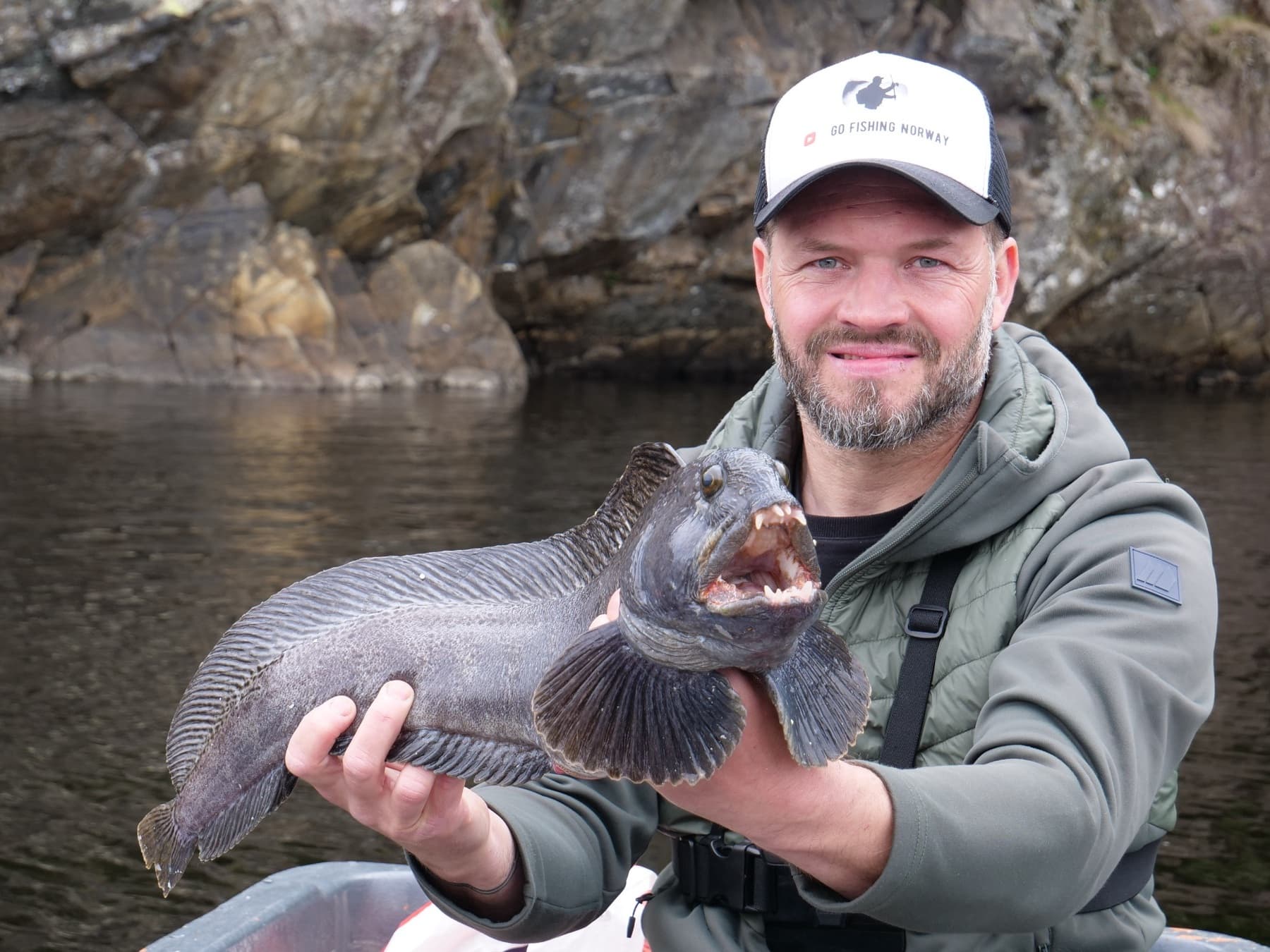 Wolffish