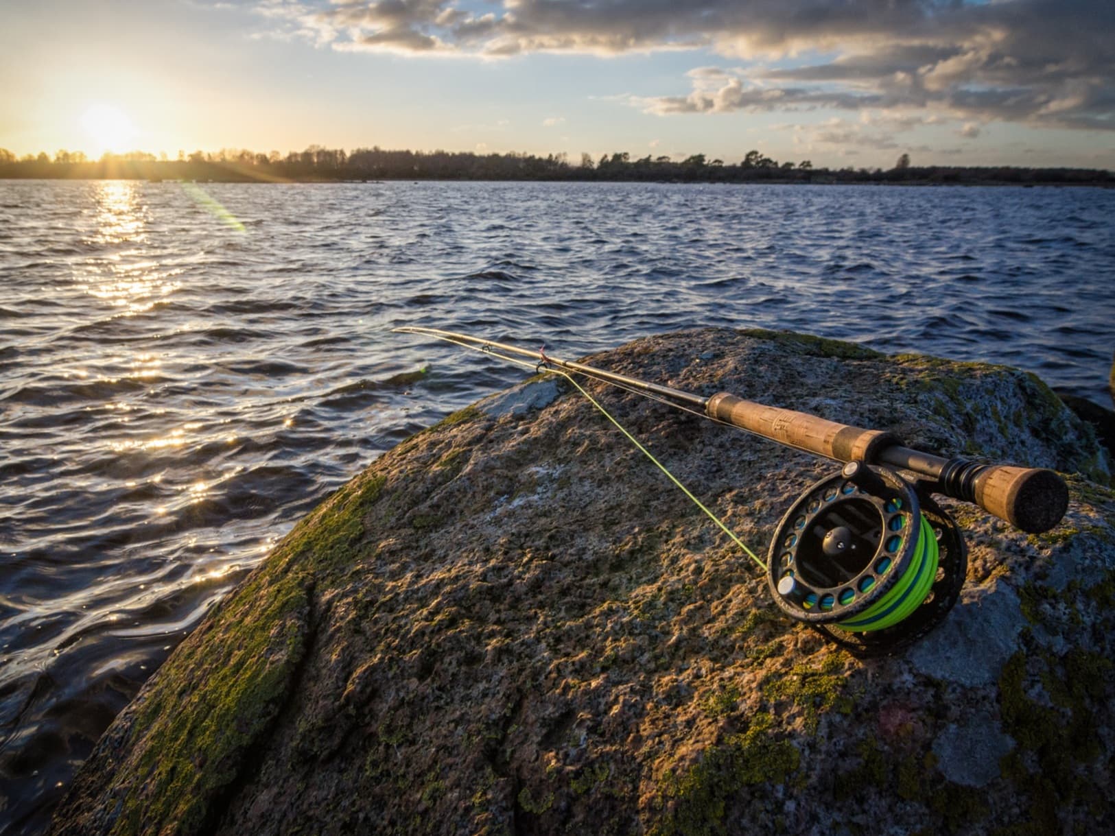 Professional Photography & Fish Care