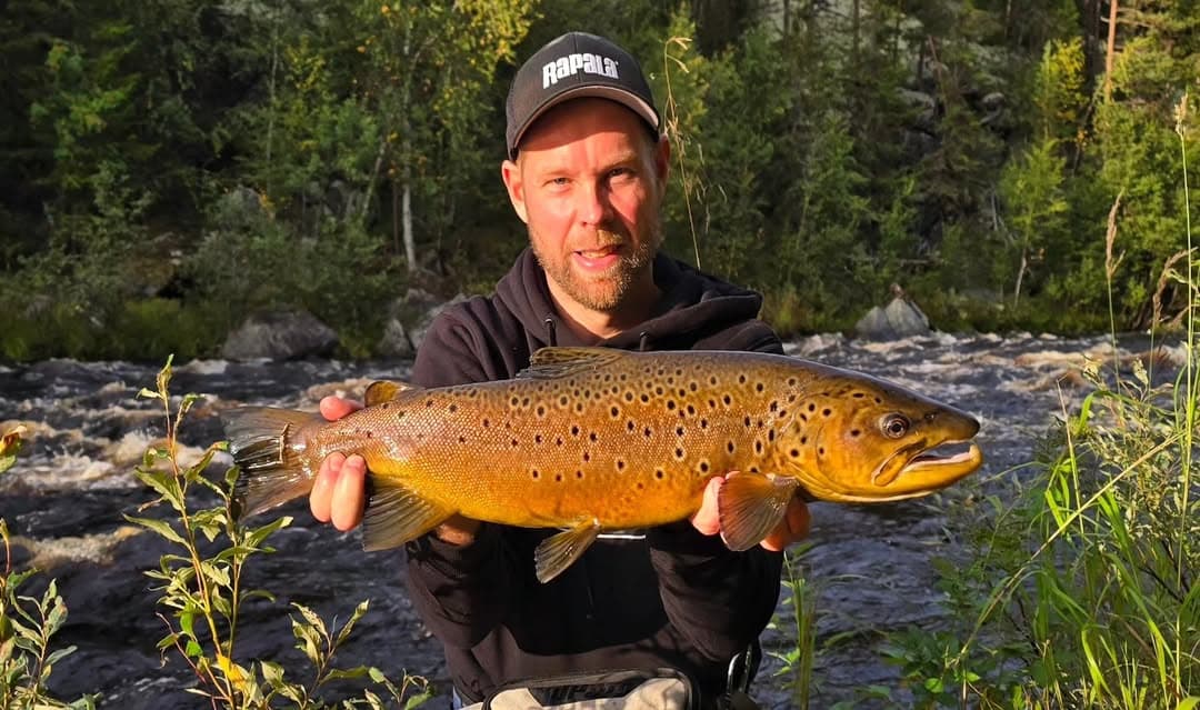 Chasing Giants: Premium Trophy Trout Expeditions on the Mistra River photo 1