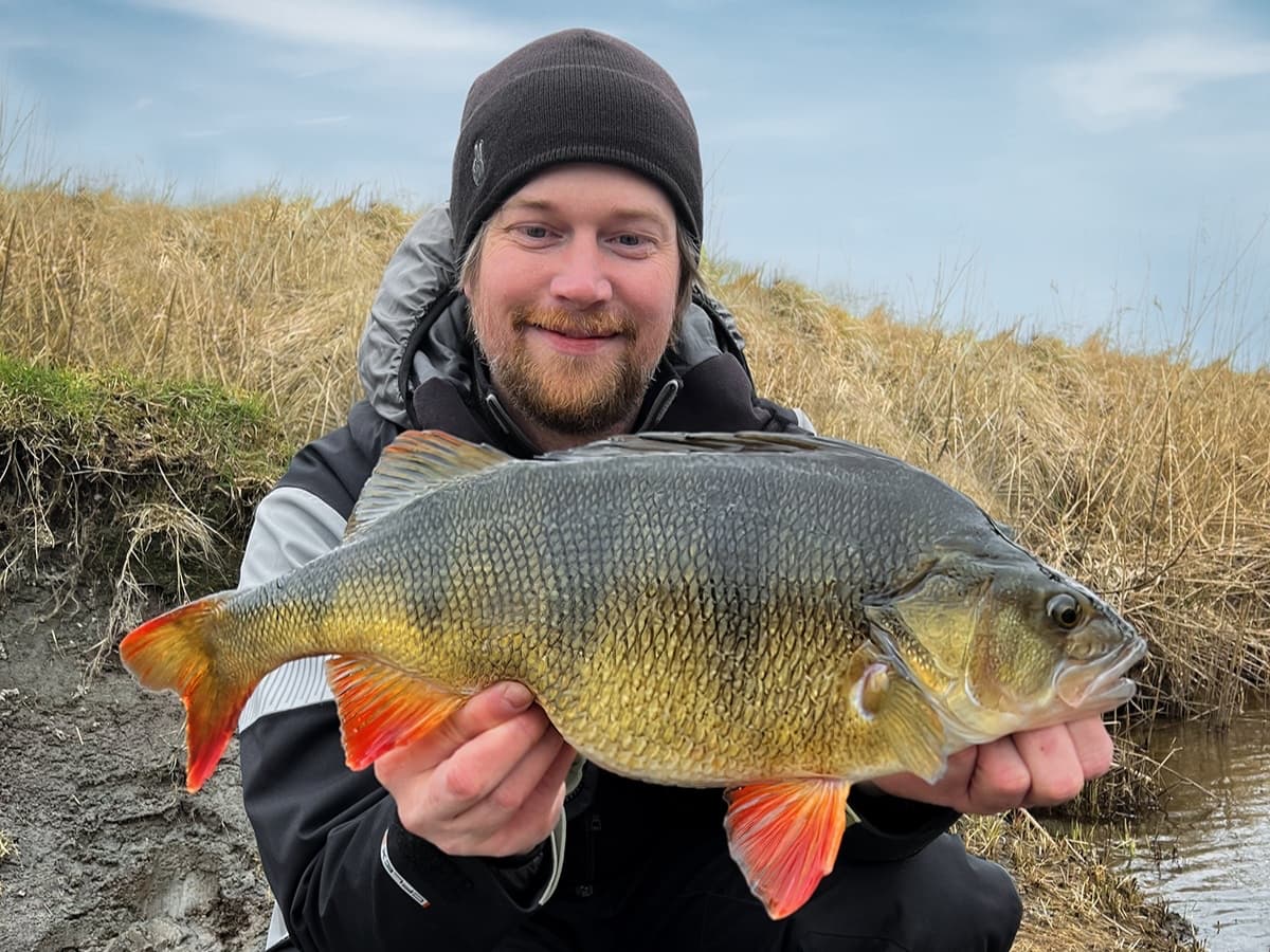 Perch