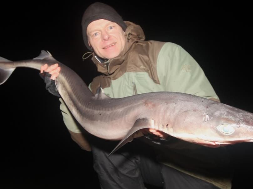 Spiny Dogfish