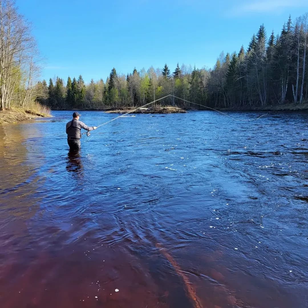 Northern Wilderness: Wild River & Lake Fishing in Northern Sweden