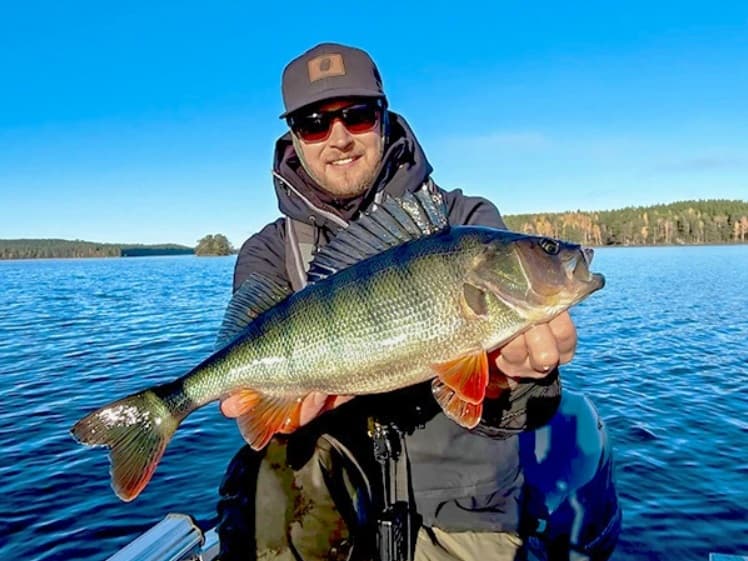 Lake Saimaa & Beyond: Fishing Trips with a South Karelian Heart photo 2