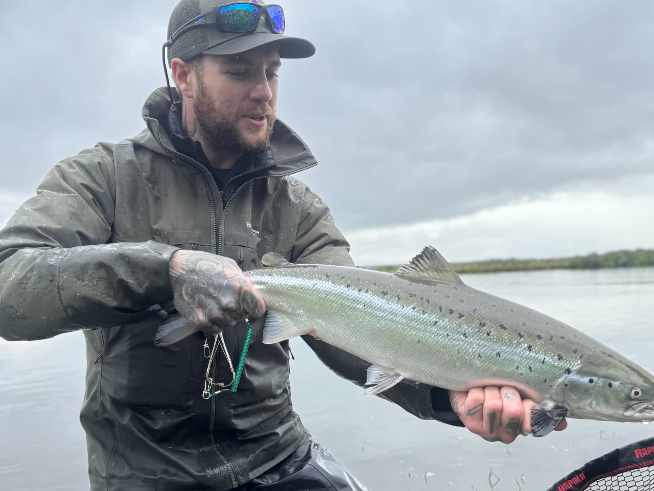 Salmon