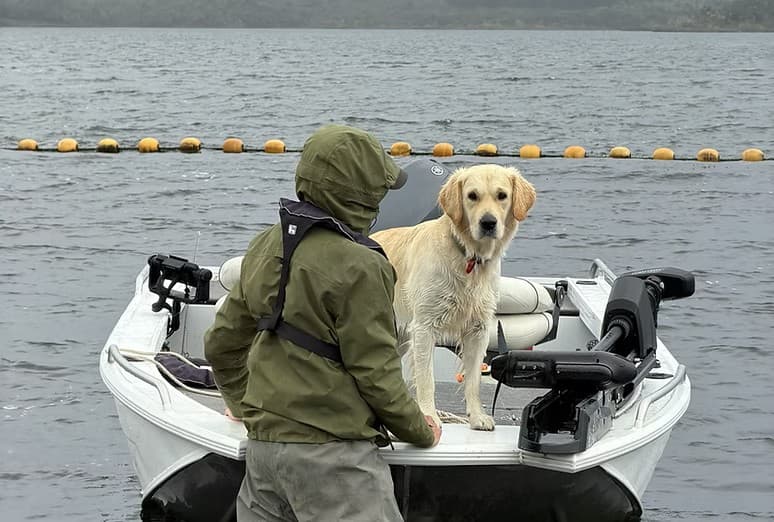 Guided Fly Fishing — Central North Island, New Zealand photo 3