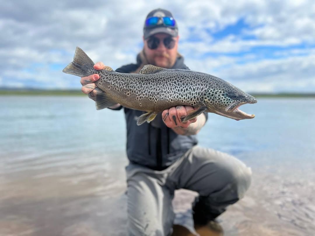 Silver & Shadows: Specialized Fly Fishing and Sight Casting in Iceland photo 1