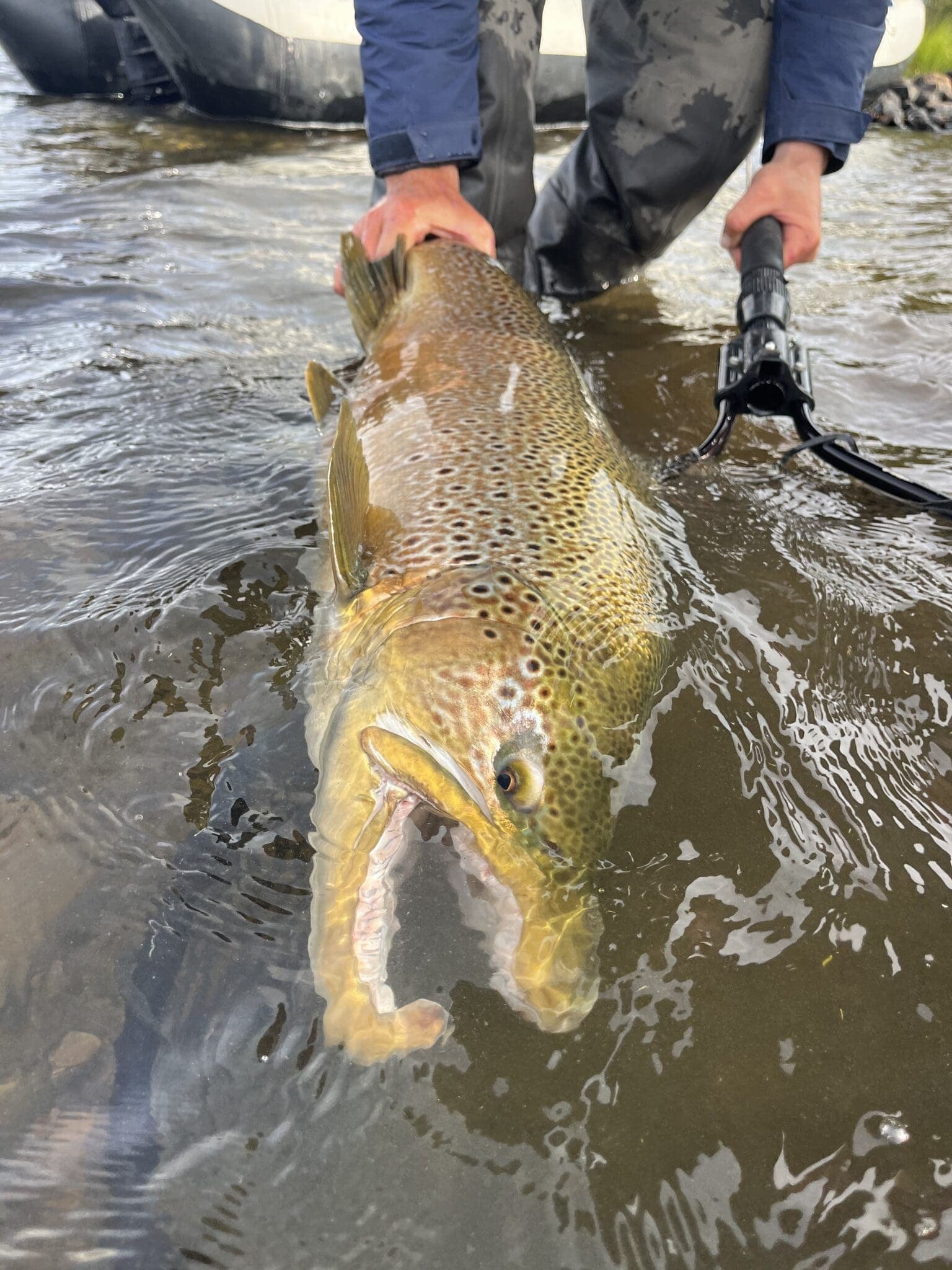 Split-Destination Lodge Week in Aysén — Flywise Anglers, Chile photo 1