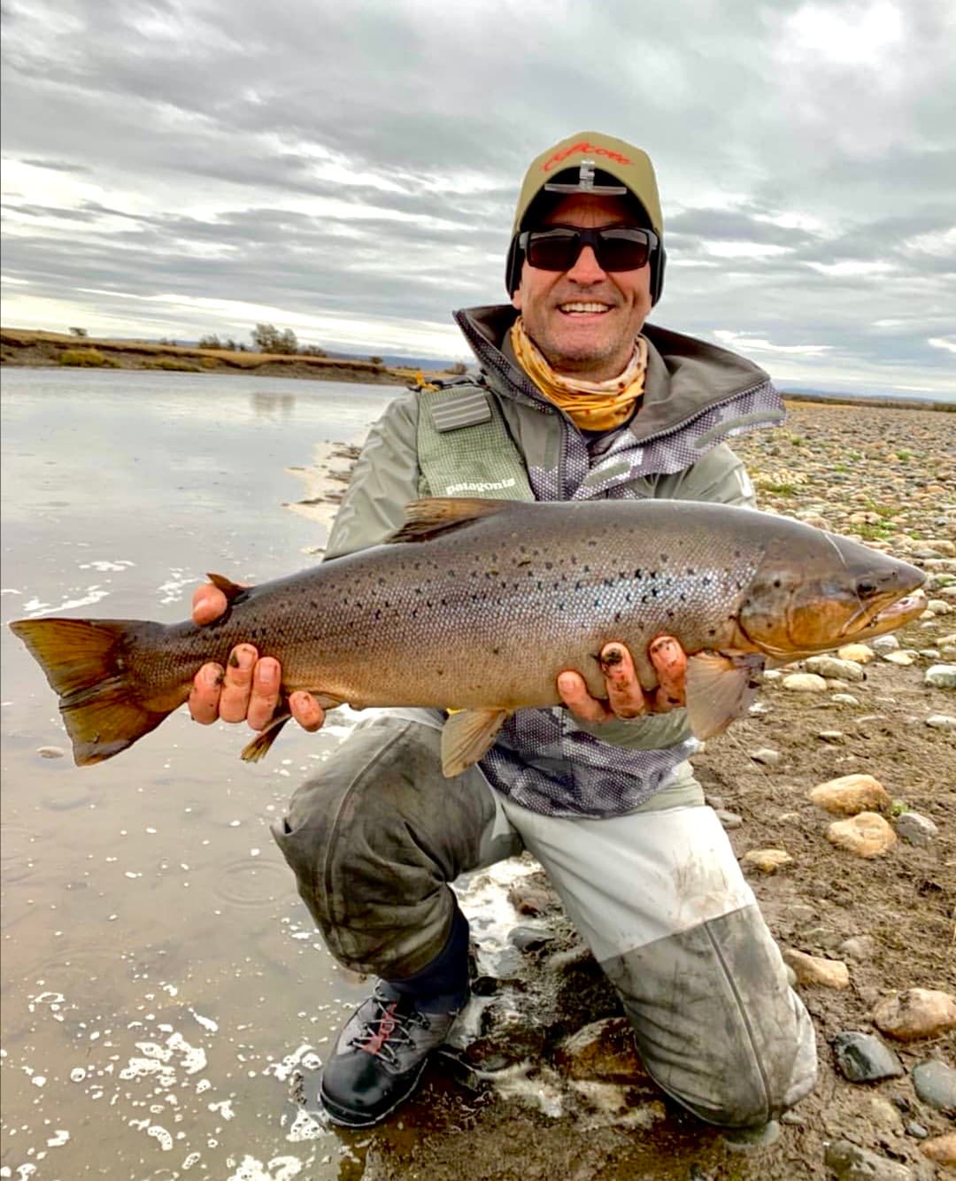 Brown Trout