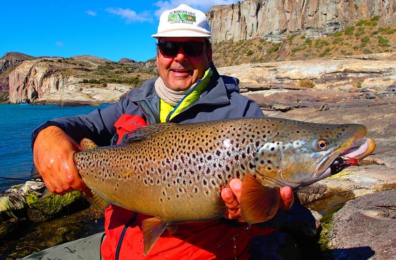 Brown Trout