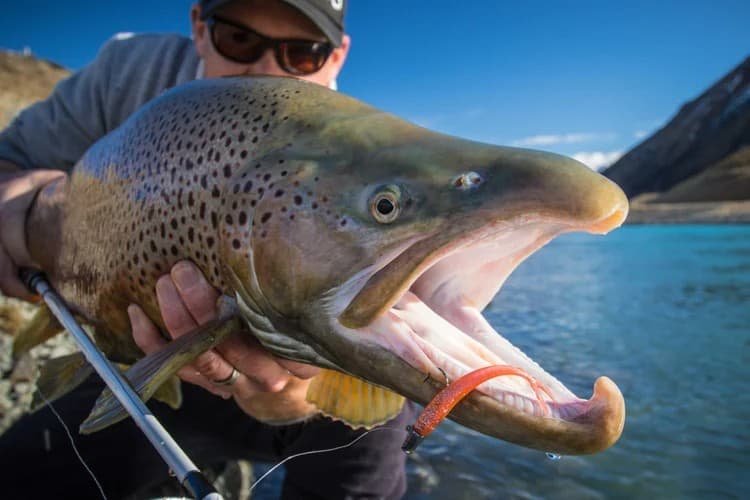 Fly Fishing — Southland, South Island New Zealand photo 3