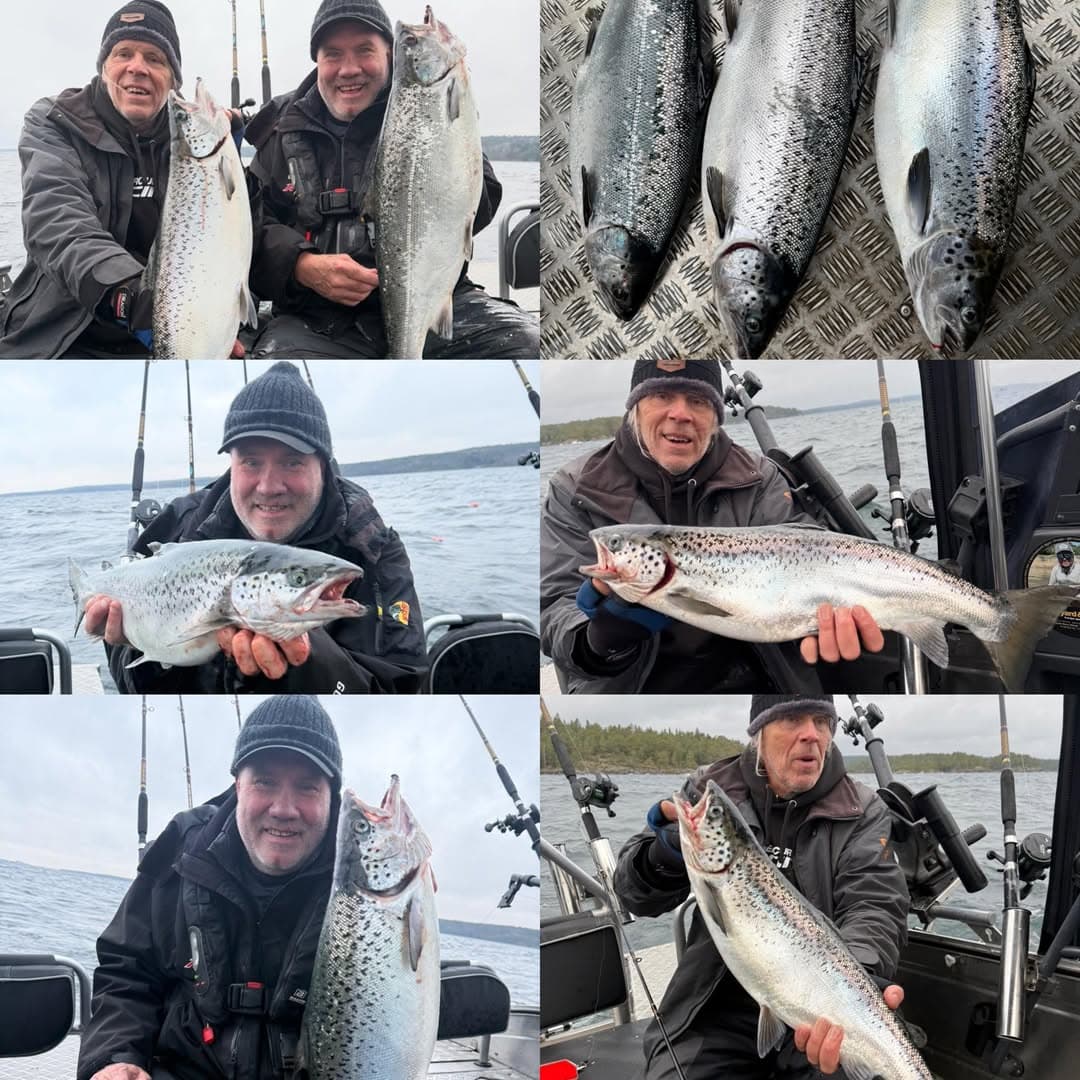 The Archipelago Legend: Premium Fishing Expeditions in Stockholm photo 1