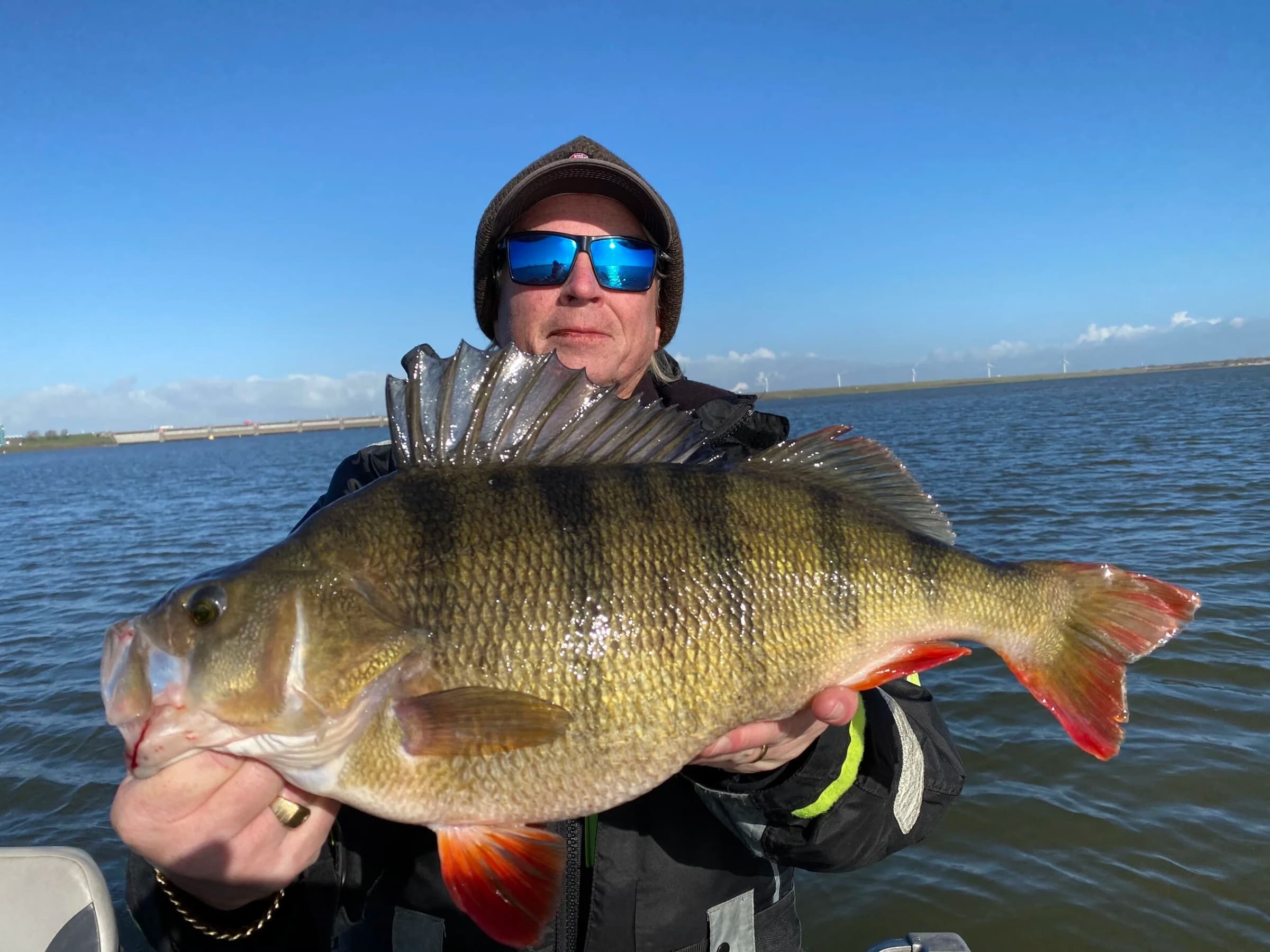 Perch