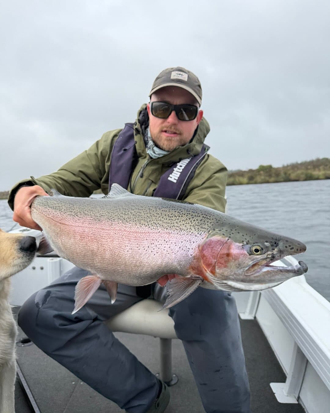 Rainbow trout
