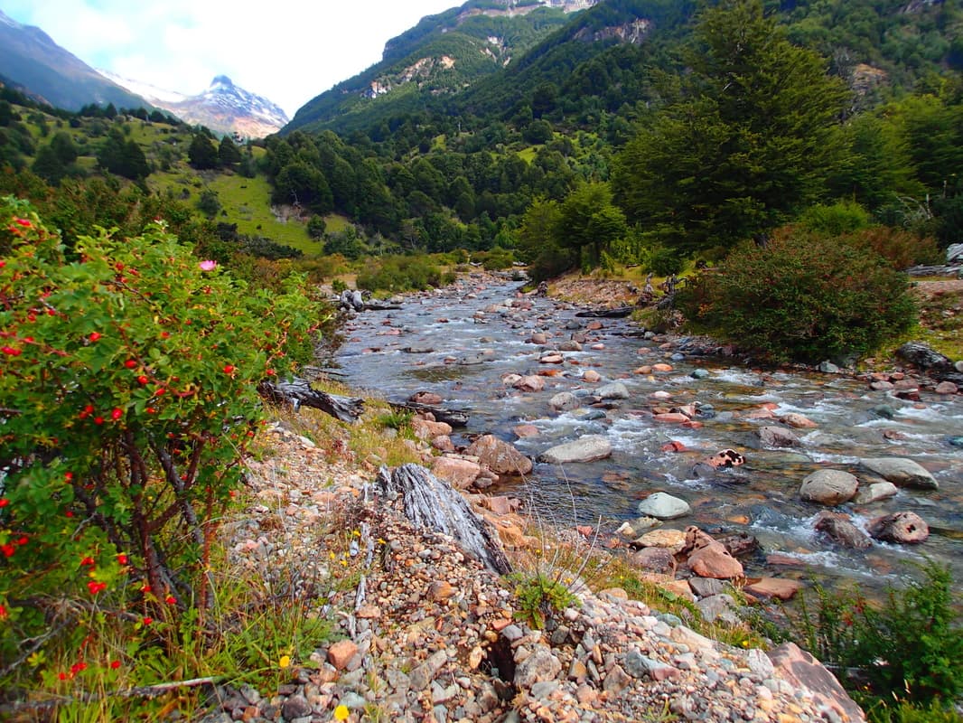 Spring Creeks & Freestones of Aysén — Coyhaique, Chile photo 4