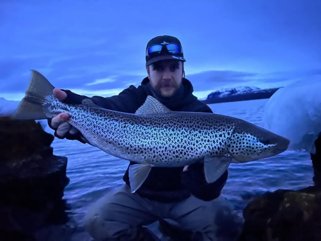 Sea Trout